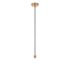 117662 Eltham Pendant Brass