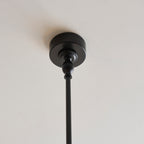 125457 Jericho 2 Light Pendant Black