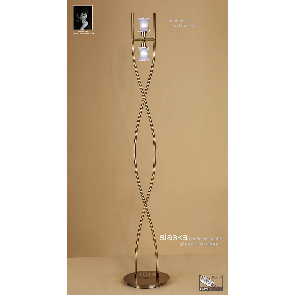 M0616AB Alaska Floor Light G9 2 Light G9 Antique Brass