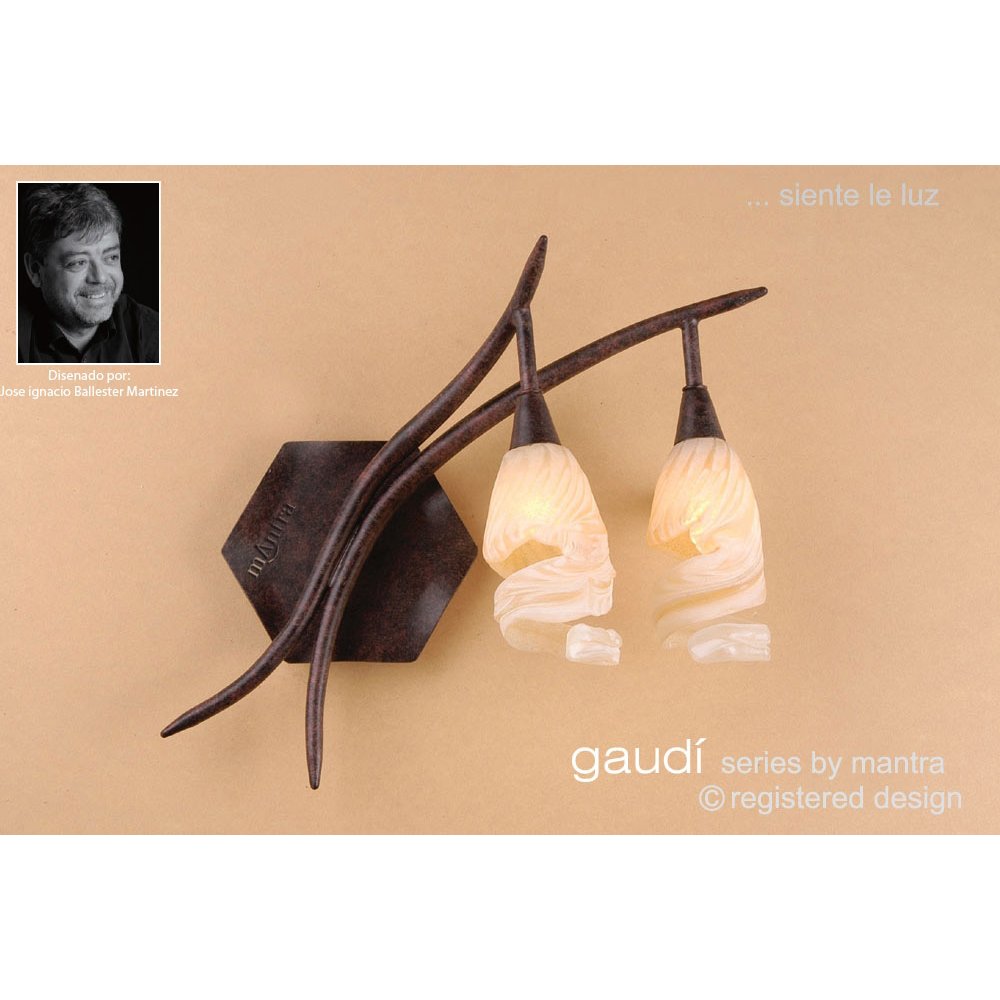 M3205 Gaudi Wall Lamp Right 2 Light G9 Brown/Black Oxide