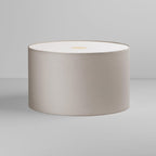5016028 Drum 420 Shade Putty
