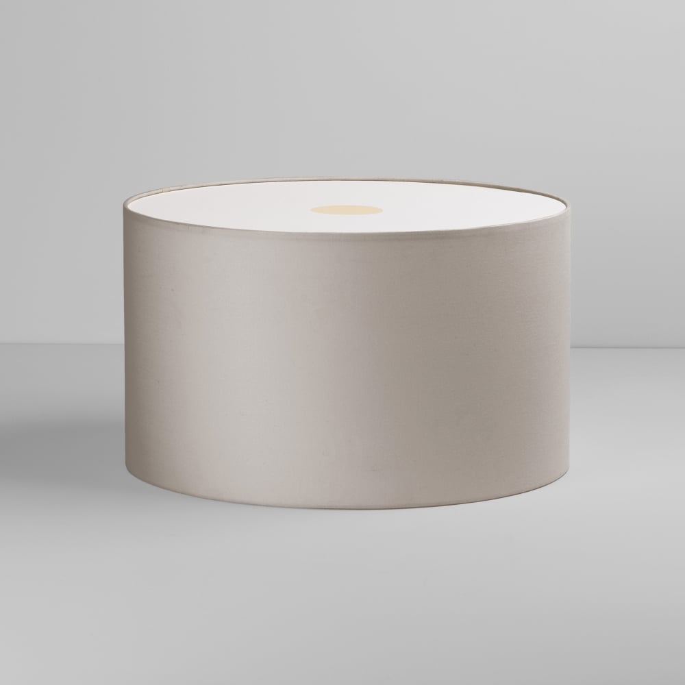5016028 Drum 420 Shade Putty