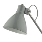 EUN4239 Eunice Task Lamp Grey Satin Nickel
