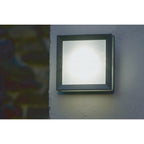 EGIL 1W Egil Outdoor 1 Light Wall/Ceiling Lantern Graphite