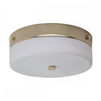 TAMAR/F/M PG Tamar 1 Light Medium Flush Light Polished Gold