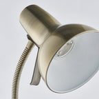 76605 Amalfi 1 Light Floor Lamp Antique Brass Plate