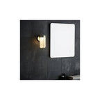 94990 Outdoor LED Wall Light Brushed Silver Finish & Frosted Glass