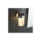 94990 Outdoor LED Wall Light Brushed Silver Finish & Frosted Glass