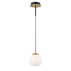 FL2460-1 Vermeer 1 Light Ceiling / Wall Black Gold Opal
