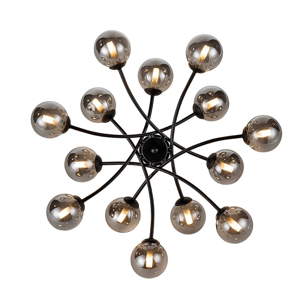 FL2438-14 Prophecy 14 Light Ceiling Fitting Black Smoke Glass