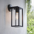 96917 Hamden 1 Light Outdoor Wall Light Black Clear
