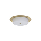 NL77639 Hex Bathroom LED Flush Ceiling Light Antique Brass