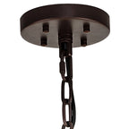 NL85249 Clover 32 Light Round Pendant Brown Oxide / Clear Glass