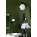 ALR0122 Alrik 1 Light Bathroom Flush Matt Black Opal Glass IP44
