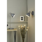 FRE4237 Frederick Task Table Lamp Dark Grey Satin Chrome