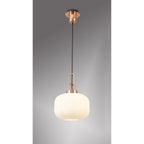 NLK05269 Amsterdam 1 Light Pendant Copper Matt Black