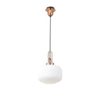 NLK05269 Amsterdam 1 Light Pendant Copper Matt Black