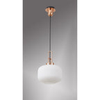 NLK05269 Amsterdam 1 Light Pendant Copper Matt Black