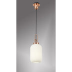 NLK05309 Amsterdam 1 Light Pendant Copper Matt Black