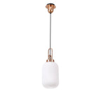 NLK05309 Amsterdam 1 Light Pendant Copper Matt Black