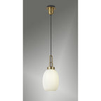 NLK05489 Amsterdam 1 Light Pendant Brass Gold Matt Black