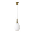 NLK05489 Amsterdam 1 Light Pendant Brass Gold Matt Black