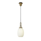 NLK05489 Amsterdam 1 Light Pendant Brass Gold Matt Black