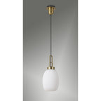NLK05489 Amsterdam 1 Light Pendant Brass Gold Matt Black