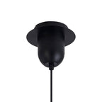 NLK15509 Acme 1 Light Pendant Matt Black Matt Black