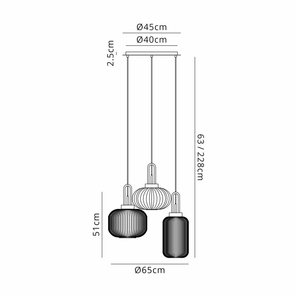 NLK15539 Acme 3 Light Round Pendant Polished Nickel Matt Black