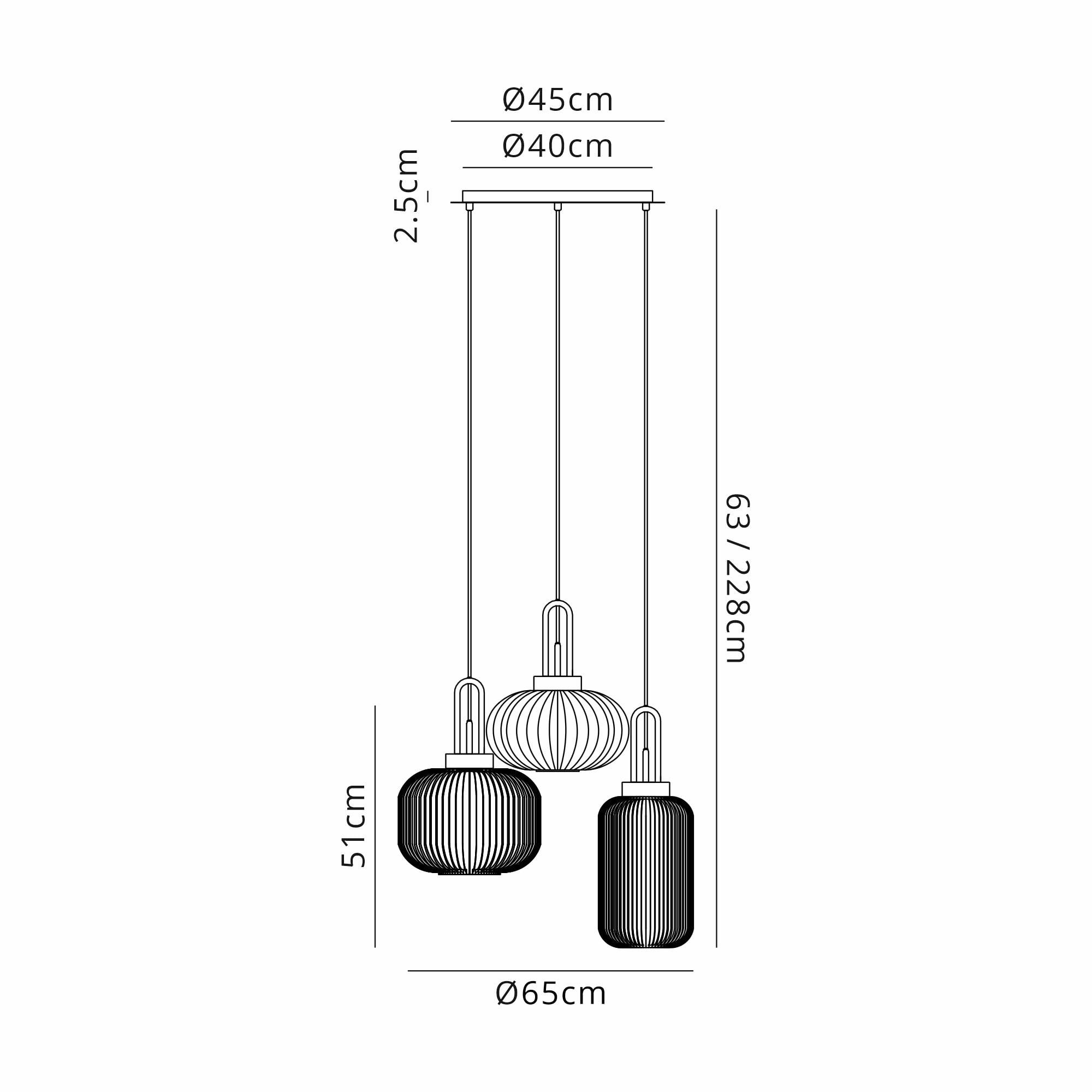 NLK15539 Acme 3 Light Round Pendant Polished Nickel Matt Black