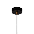 NL71239 Adner 1 Light Pendant Black Painted Gold