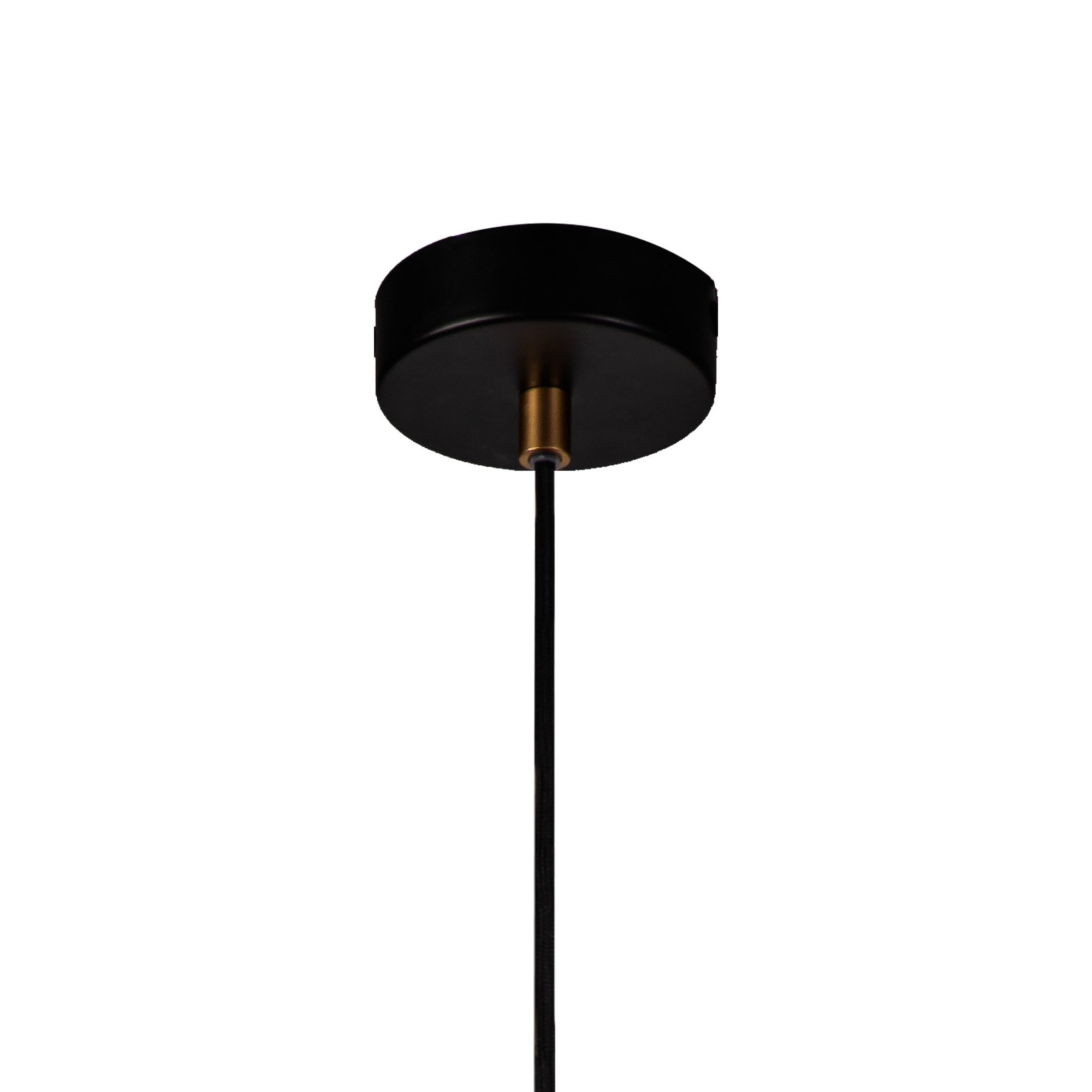 NL71239 Adner 1 Light Pendant Black Painted Gold