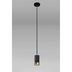 NL71239 Adner 1 Light Pendant Black Painted Gold