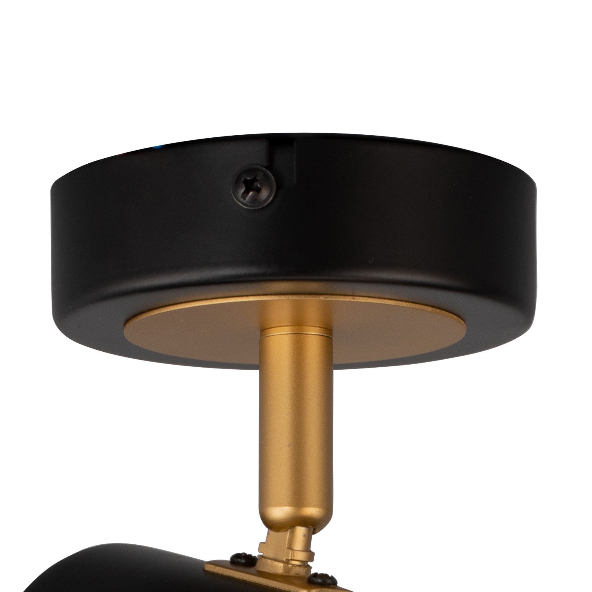 NL99539 Adner 1 Light Spotlight Black Painted Gold
