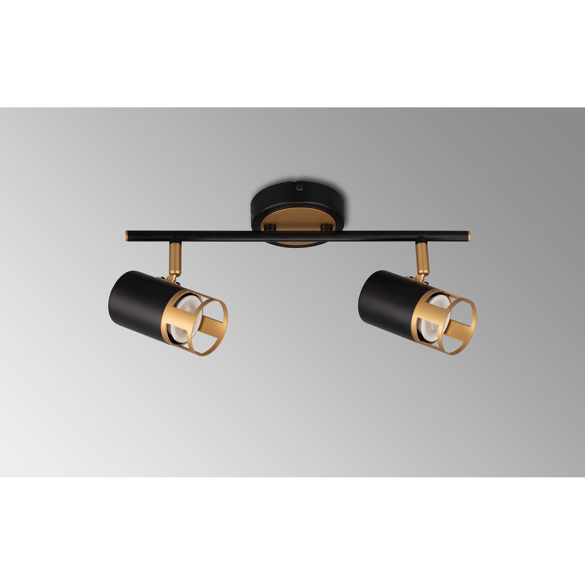 NL99559 Adner 2 Light Linear Bar Spotlight Black Painted Gold