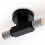 NL87009 Alissa 2 Light Bathroom Wall/Ceiling Light Satin Black