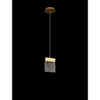 NL92519 Bartoo 1 LED Small Pendant Painted Brushed Gold Clear