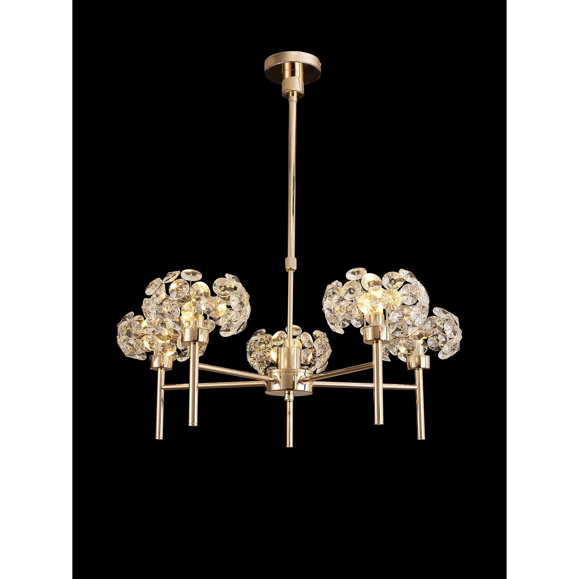 NLK08969 Paris 5 Light Pendant/Ceiling Light French Gold Crystal
