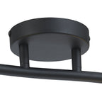 NL86689 Candio 2 Light Flush Ceiling Light Matt Black Painted Gold