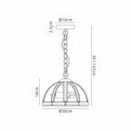 NL99949 Char 2 Light Small Dome Pendant Polished Nickel Clear