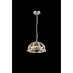 NL99949 Char 2 Light Small Dome Pendant Polished Nickel Clear