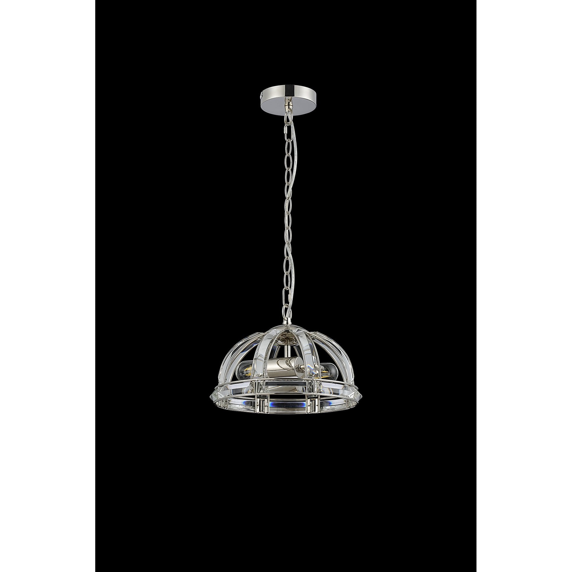 NL99949 Char 2 Light Small Dome Pendant Polished Nickel Clear