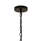 NL88249 Clover 16 Light Round Pendant Matt Black Clear