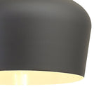 NL93039 Dadura 1 Light Pendant Anthracite Satin Nickel