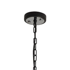 NL85789 Dalmer 1 Light Pendant Matt Black Chrome