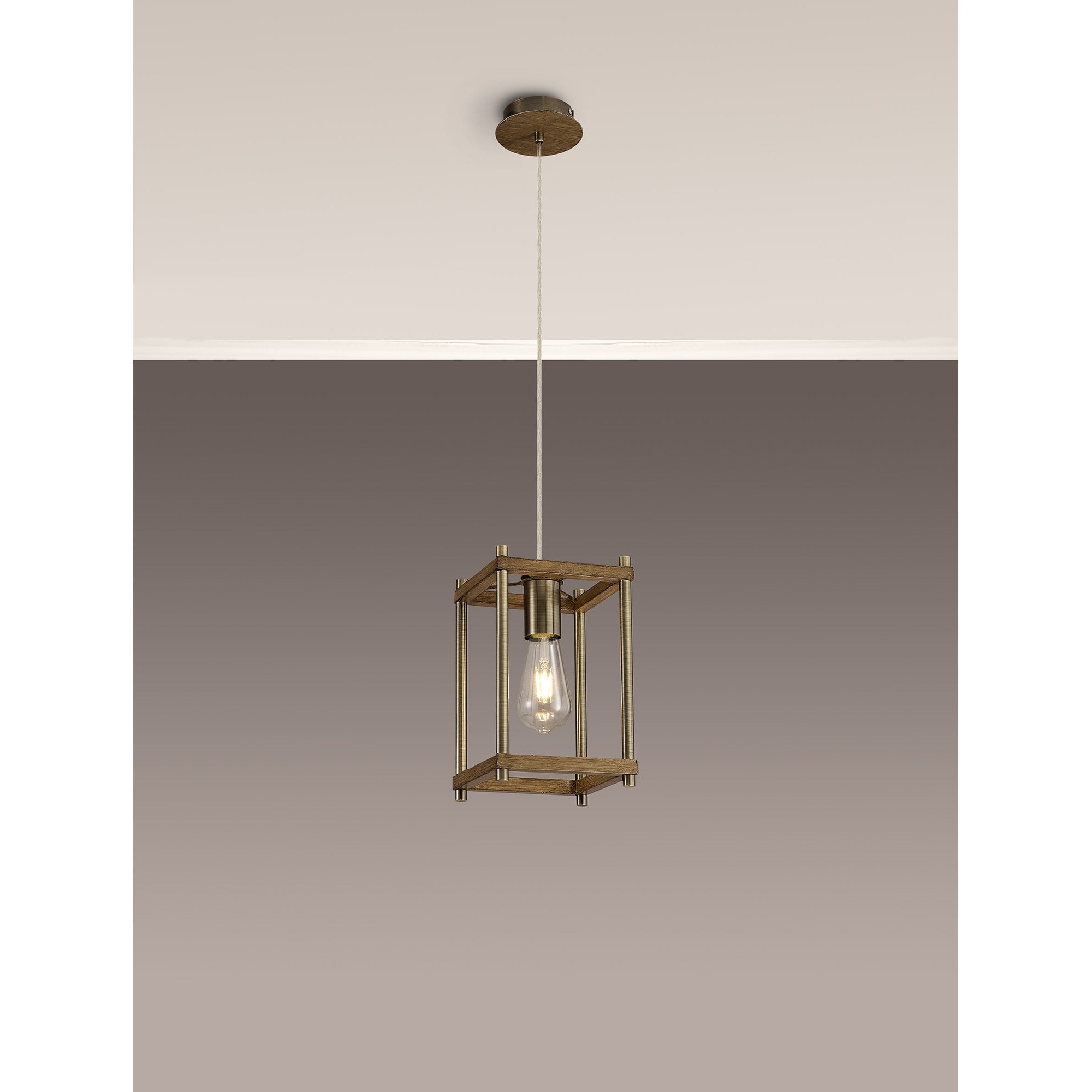 NL92579 Icart 1 Light Pendant Medium Oak Antique Brass