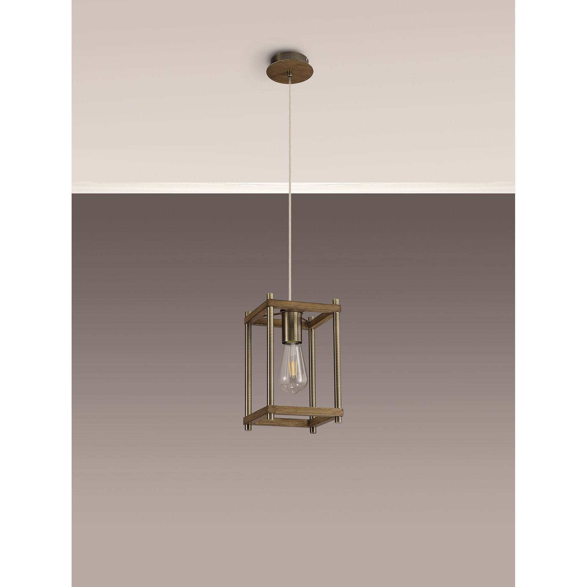 NL92579 Icart 1 Light Pendant Medium Oak Antique Brass