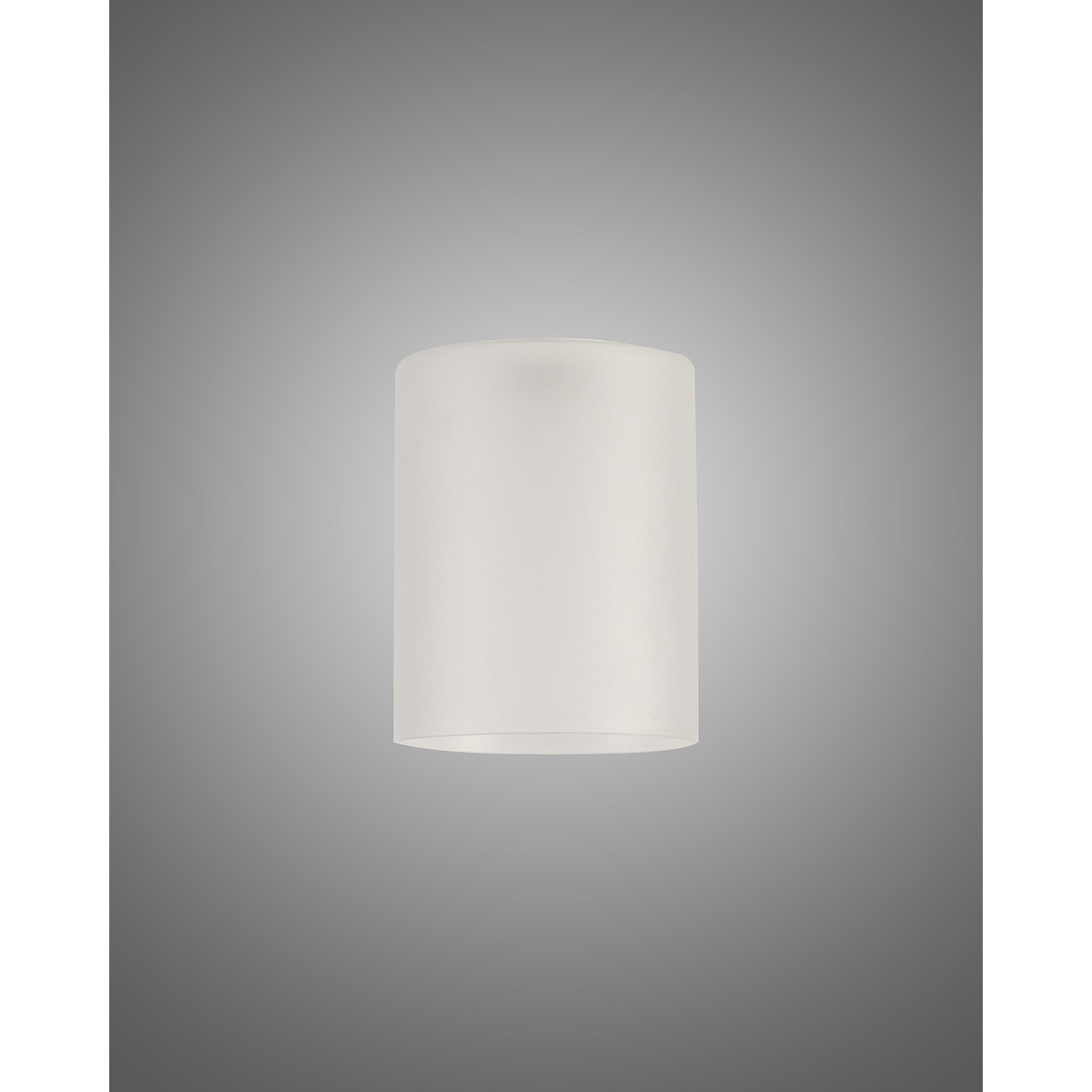 NL76199 Iona Shade Frosted