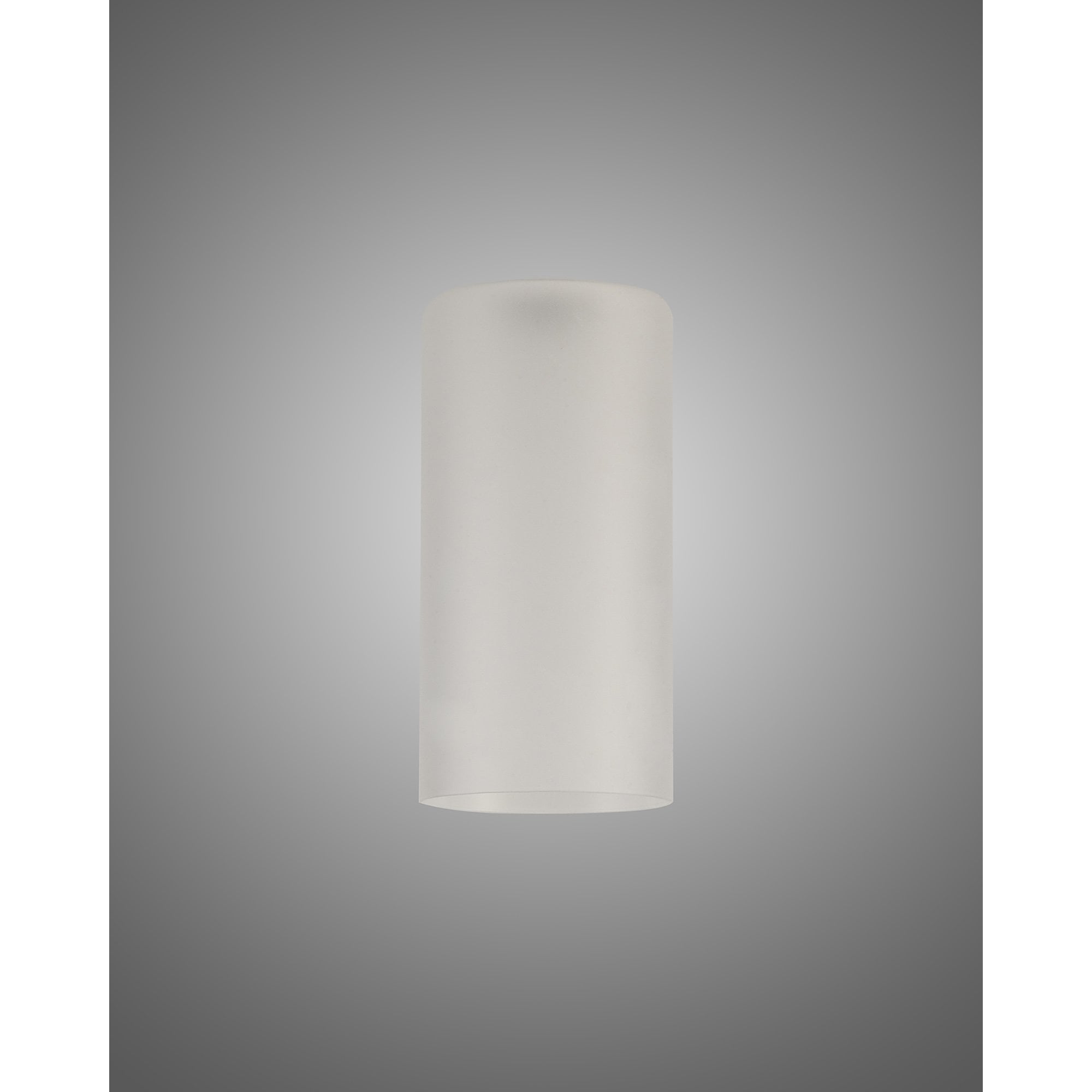 NL76259 Iona Shade Frosted